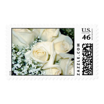 White Rose Postage Stamps by Dmargie1029 White Rose Postage Stamps