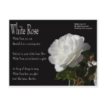 White Rose Postkarte postkarten by doveworld373 White Rose Postkarte postkarten