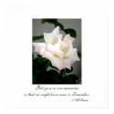 White Rose Poster/Print