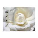White Rose, RSVP postcards