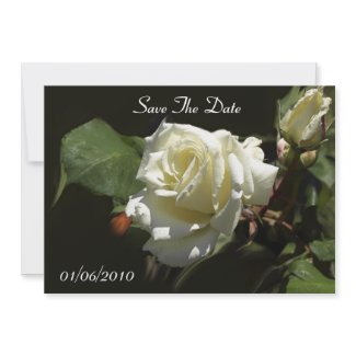 White Rose Save The Date Invitation Cards invitation