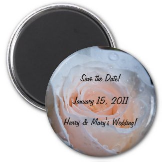 White Rose Save the Date Magnet magnet