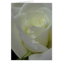 White Rose "Save The Date" Wedding Cards cards