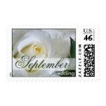 White Rose • September Wedding Stamp