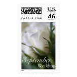White Rose • September Wedding Stamp