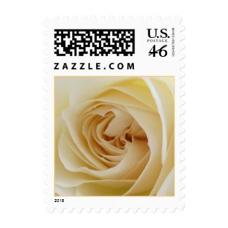 White Rose Small Postage 002 stamp