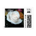 White rose small stamp