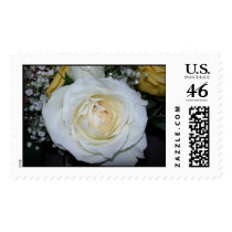 White Rose stamp by bkang22 White Rose stamp
