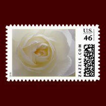 White Rose Stamps Beautiful White Flower Postage stamps
