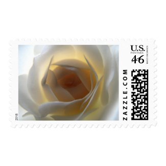 White Rose stamps stamp