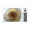 White Rose stamps