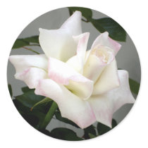 White Rose Sticker by Lesleysloft White Rose Sticker