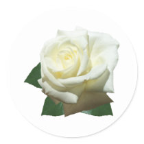 White Rose stickers by Judith_Heath White Rose stickers