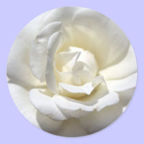 White Rose stickers