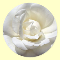 White Rose stickers