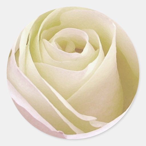 White Rose Sticker Zazzle