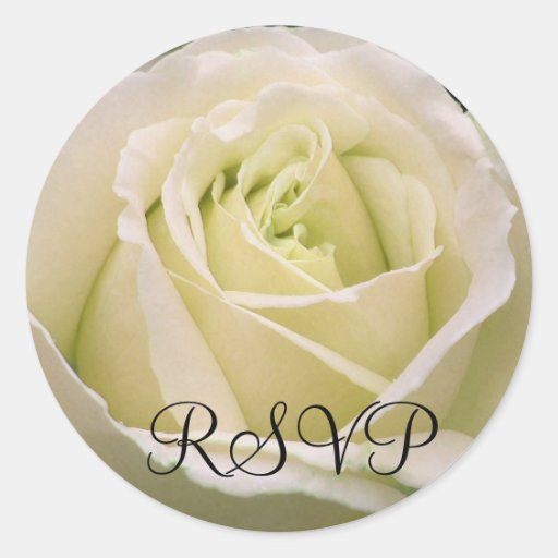 White Rose Sticker Zazzle