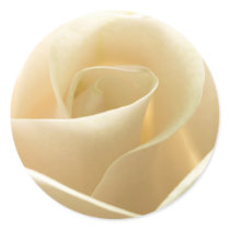 White Rose stickers by photoinspiration White Rose stickers