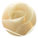 White Rose stickers by photoinspiration White Rose stickers