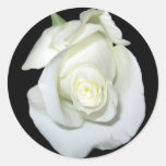 White Rose Stickers