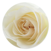 White Rose Stickers 001 by LetsCelebrate White Rose Stickers 001
