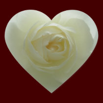 White Rose Stickers Cheerful Rose Gifts Keepsake stickers