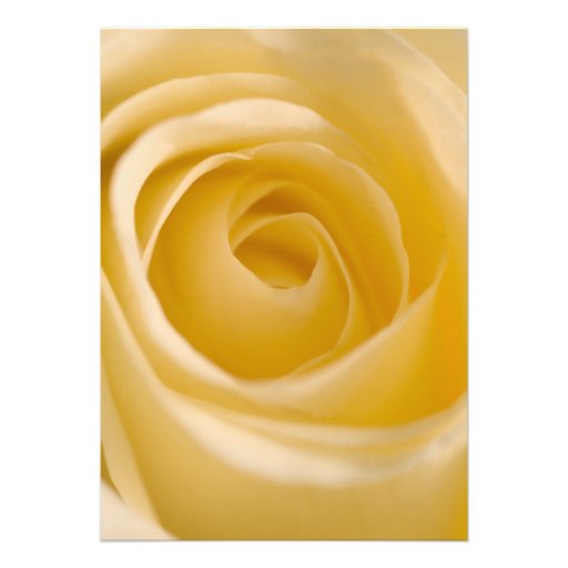 White Rose Sweet 16 Birthday Party Invitation