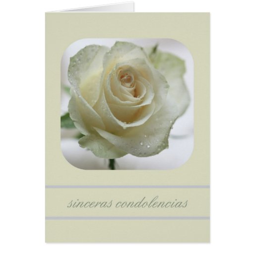white rose sympathy card spanish Zazzle