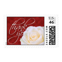 White Rose - Thank You