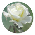 White Rose Wedding Envelope Seal Stickers by naturalilly White Rose Wedding Envelope Seal Stickers