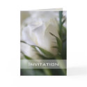 White Rose • Wedding Invitation Card