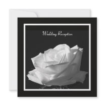 White Rose Wedding Reception Only Invitation by henishouseofpaper White Rose Wedding Reception Only Invitation