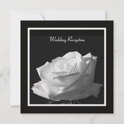 White Rose Wedding Reception Only Invitation by henishouseofpaper