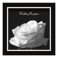 White Rose Wedding Reception Only Invitation