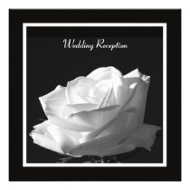 White Rose Wedding Reception Only Invitation invitations