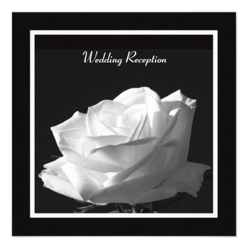 White Rose Wedding Reception Only Invitation