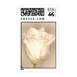 White Rose Wedding Stamp