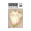 White Rose Wedding Stamp