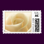 White Rose Wedding stamps