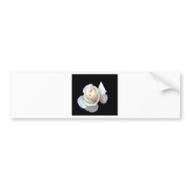White Rose Wedding Stationery bumper stickers