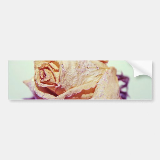 White Rose with Sparkles Bumper Stickers