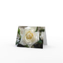 White Rosebud Thank You cards by caramoulds White Rosebud Thank You cards