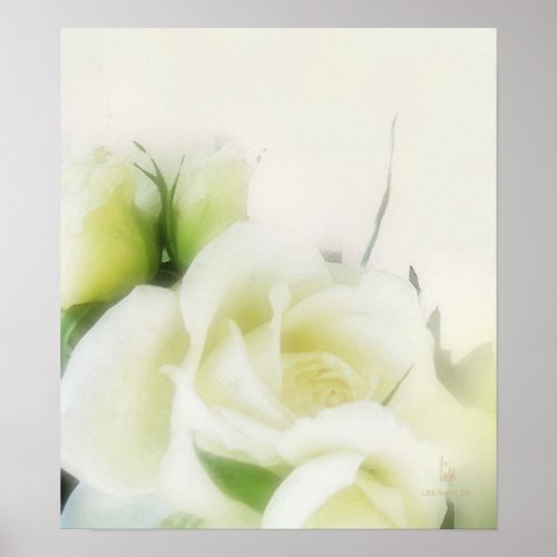 white roses 1 print