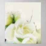 white roses 1 poster