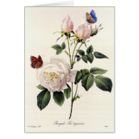 white roses and butterflies, Pierre Joseph Redouté Greeting Cards