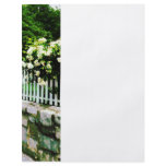 White Roses on a Picket Fence Full Color Flyer