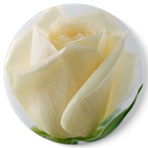 white roze buttons