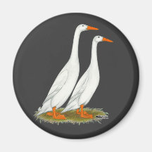 White Runner Ducks Fridge Magnet