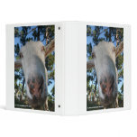 White saanen dairy goat doe nose close up HI binders