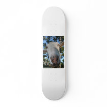 White saanen dairy goat doe nose close up HI Skateboard